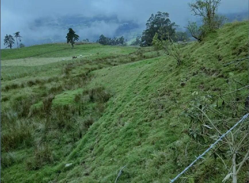 Lote de Terreno — imagen 2 de 14