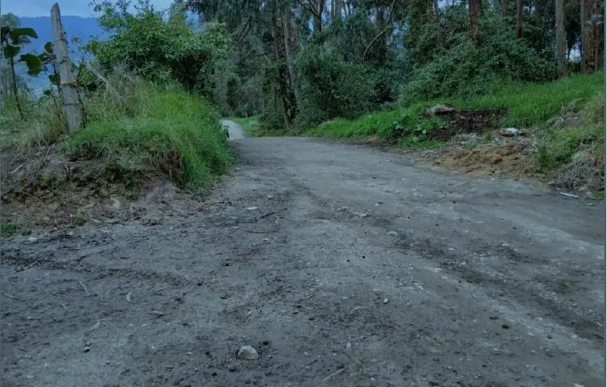 Lote de Terreno — imagen 4 de 14