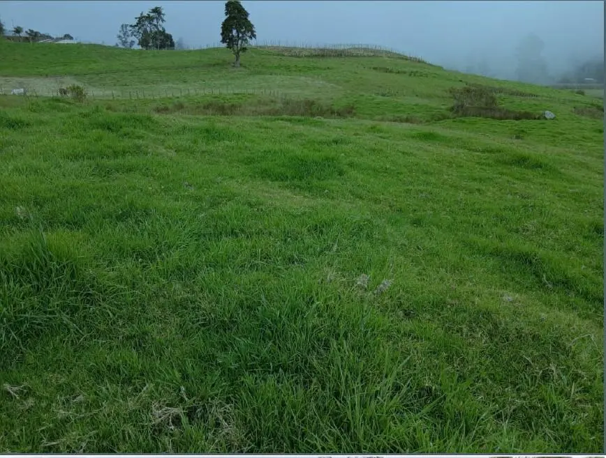 Lote de Terreno — imagen 5 de 14