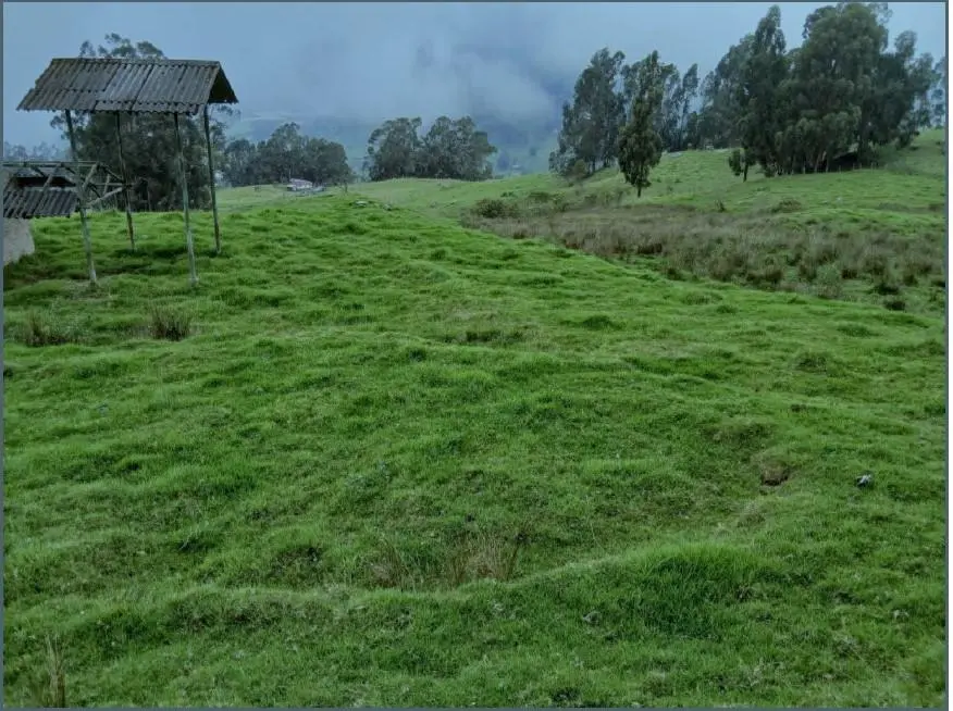 Lote de Terreno — imagen 6 de 14