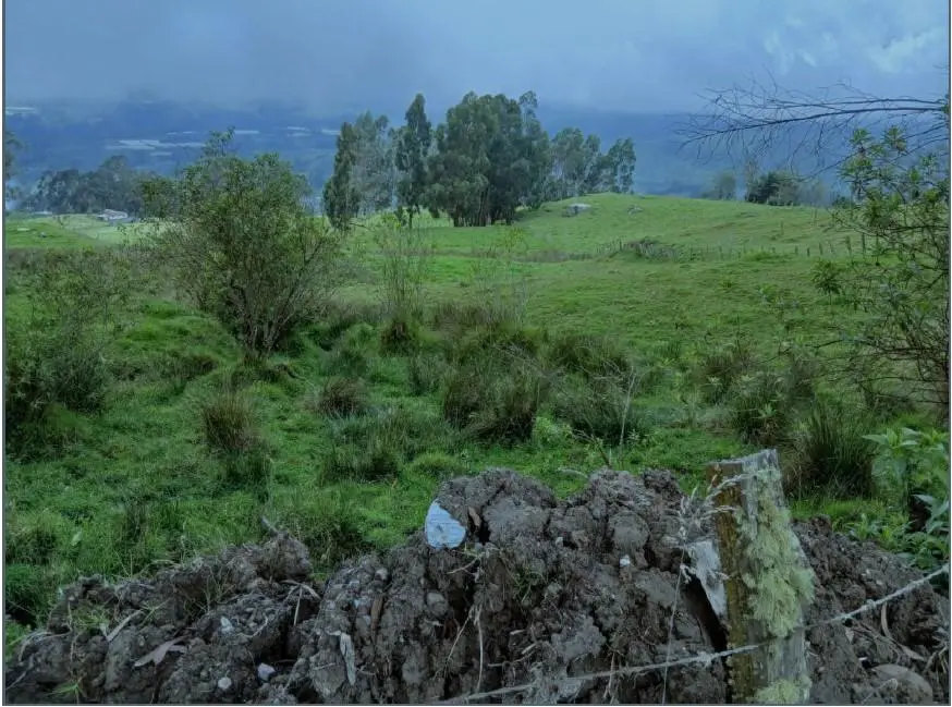 Lote de Terreno — imagen 8 de 14