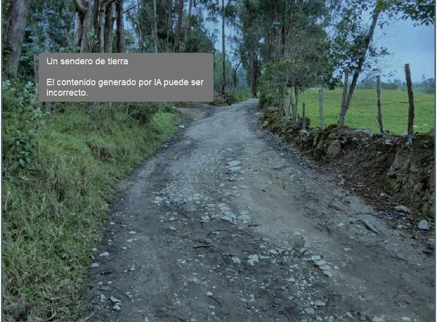 Lote de Terreno — imagen 9 de 14