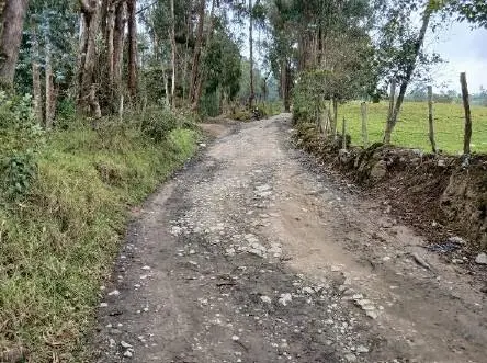 Lote de Terreno — imagen 10 de 14