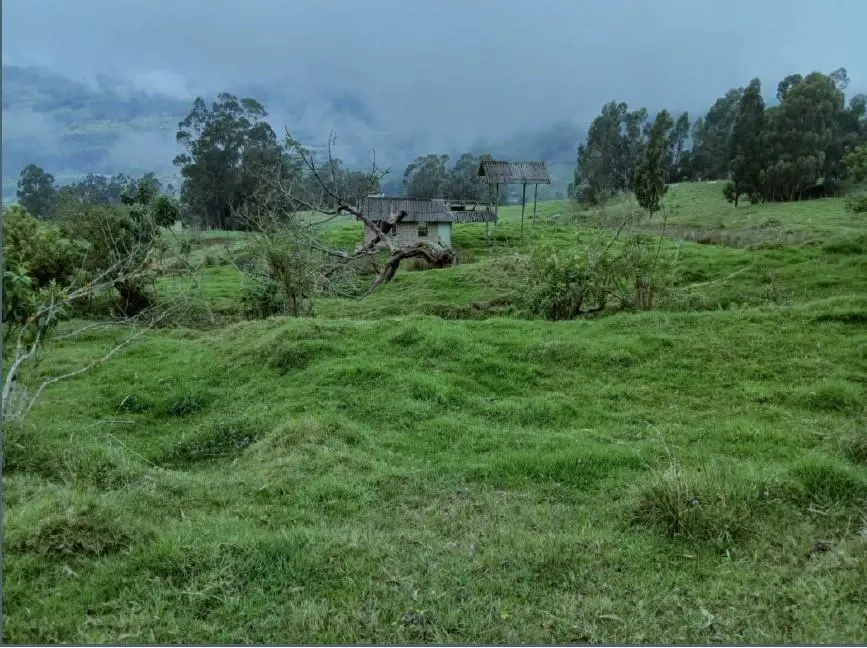 Lote de Terreno — imagen 11 de 14