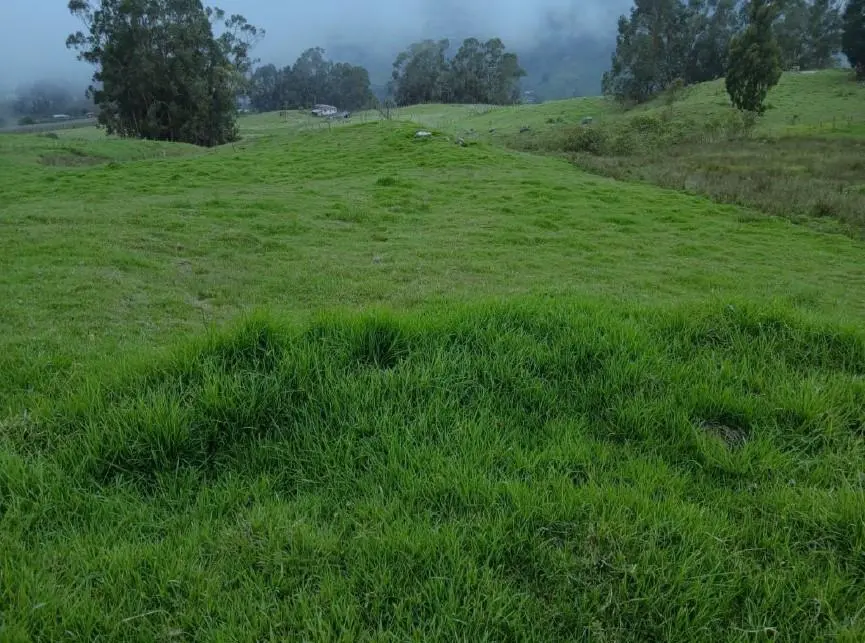 Lote de Terreno — imagen 14 de 14
