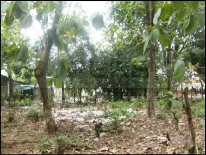 TERRENO GLOBO A CAMPAMENTO BECERRIL (URVISA) DE 29430,4 M2 UBIC.: BECERRIL - CESAR — imagen 3 de 3