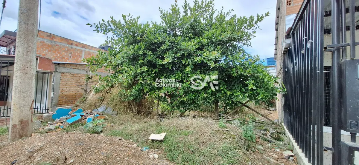 Lote en venta - Pitalito, Huila — imagen 4 de 5